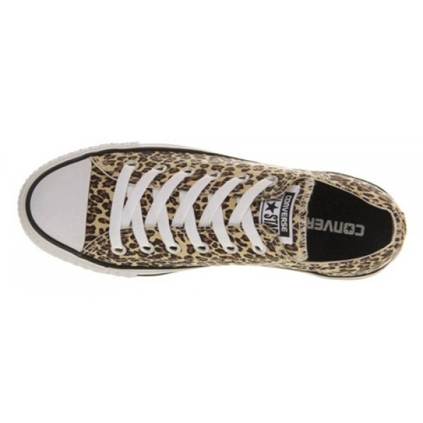Converse All Star Low Leopard Exclusive Unisex Shoes